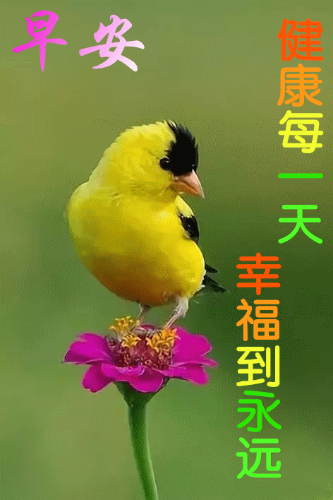 11月第一天 早上好温馨图片问候大全 早上好问候语好