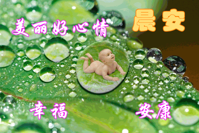 中老年表情包,聊天动态带字图片早上好祝福,天气变寒冷,添衣才保暖!