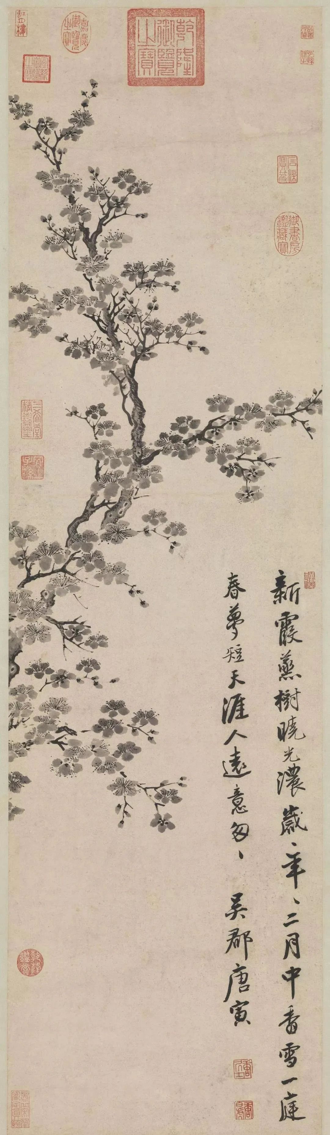 唐伯虎画花鸟,太罕见!_腾讯新闻
