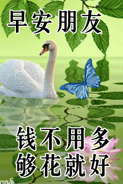 11月21日最漂亮早上好动态表情图片大全,早晨好动图美图大全