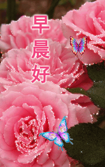 超级漂亮早上好问候祝福语动态图片 冬天清晨温馨早安