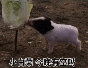 表情包你懂我的意思吧动态套路撩妹表情