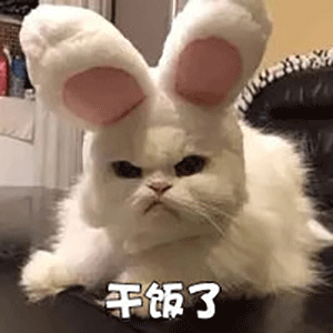 干饭了表情包