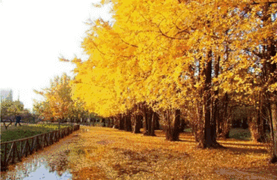 修身课堂崧泽节气小雪一片飞来一片寒