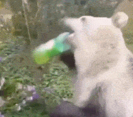 每天更新爆笑gif趣图,欢迎关注.关注.关注