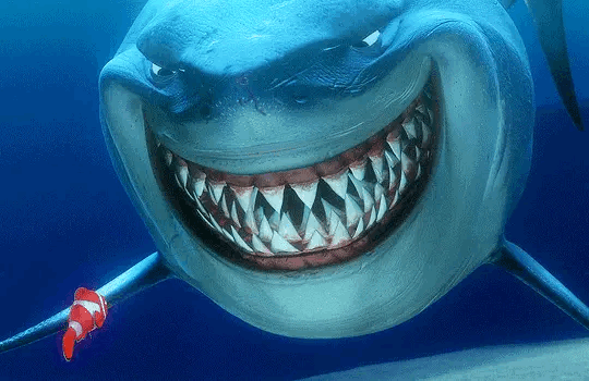 相信大多数人脑海里 首先浮现的是鲨鱼龇牙咧嘴的样子