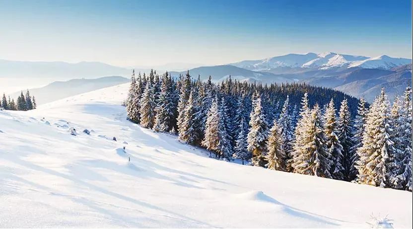 新年跑|私享冰雪赛道!2021崇礼·翠云山冰雪越野挑战赛报名中!