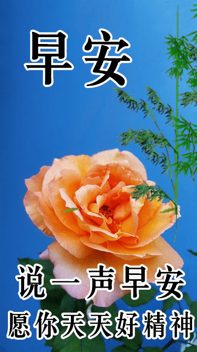 12月1日最漂亮早上好动态表情图片大全,早晨好动图美图大全