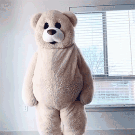 搞笑动态的泰迪熊,超有范哦