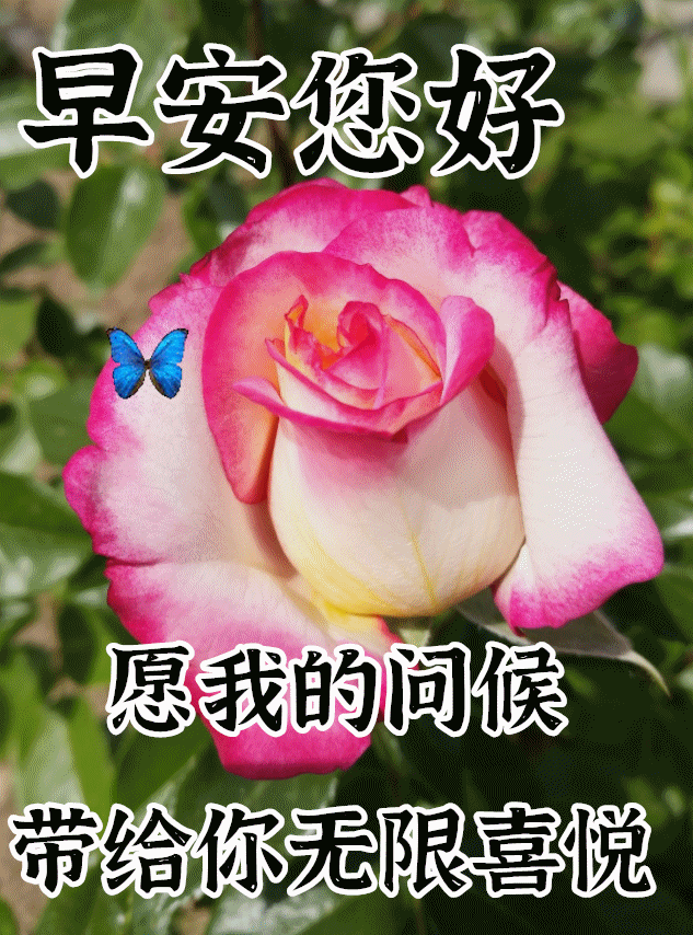 1月早安心语暖心问候图片温暖美好的早上好图片