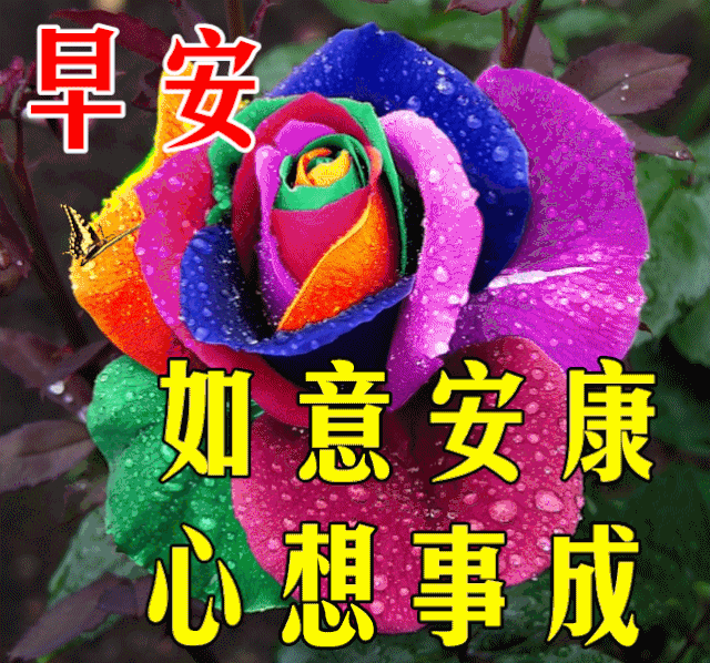 1月早安心语暖心问候图片 温暖美好的早上好图片!