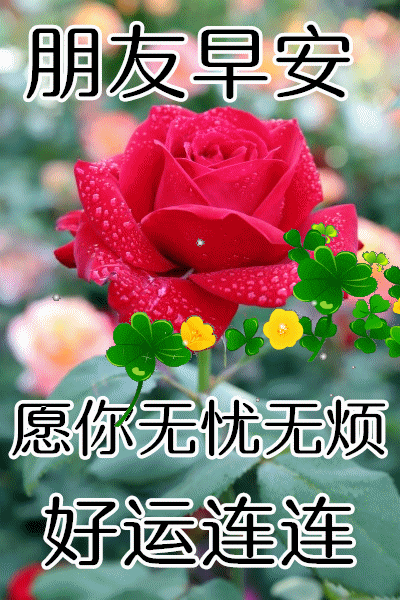 1月早安心语暖心问候图片温暖美好的早上好图片