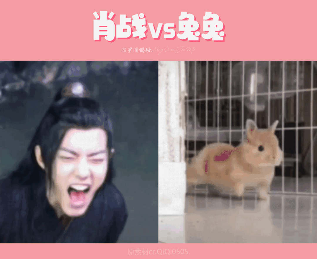 肖战是肖兔子没错了,吃东西真的特别像兔子,好可爱呀!