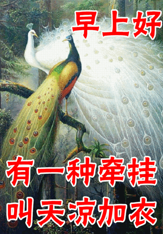 12月3日最漂亮早上好动态表情图片大全早晨好动图美图大全