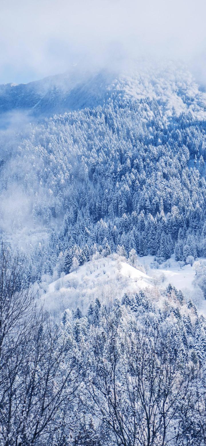 下雪天,情感文案,下雪文案,小雪文案