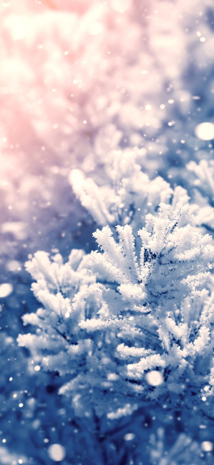 下雪天,情感文案,下雪文案,小雪文案