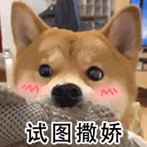 热门表情包第103期丨雷丘狗子