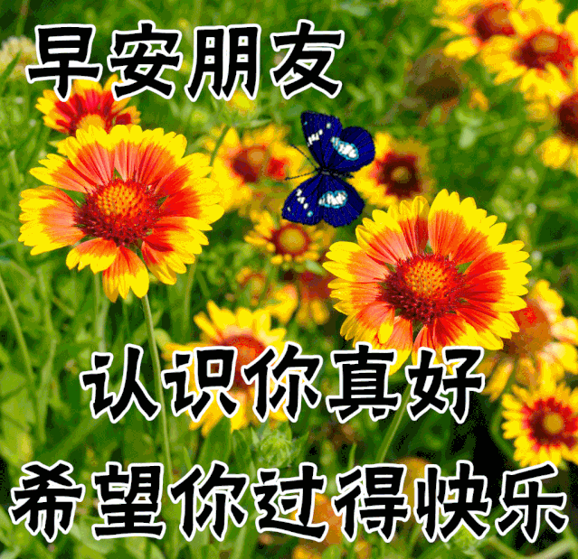 11月28日清晨群发早上好问候祝福语动态图片早晨好问候动态图片表情带