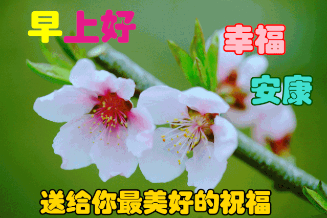 12月15日早上好最棒问候表情祝福语录清晨最美祝福美图