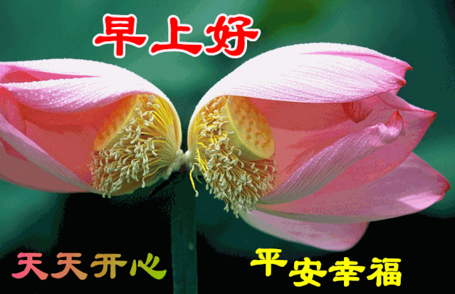 12月15日早上好最棒问候表情祝福语录 清晨最美祝福美