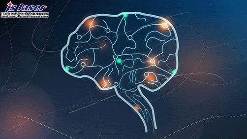 《cell》重磅:大脑gps这样操作?用激光