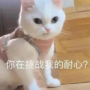 表情包|你的绿帽子掉了