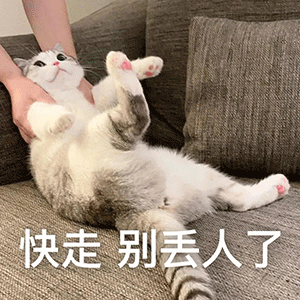 表情包|你的绿帽子掉了