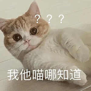 抖音表情包大全丨不敢谈恋爱,不会写ppt