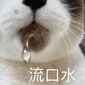 微信搜索:呆图青年 表情包  gif动图  图片制作  精选头像