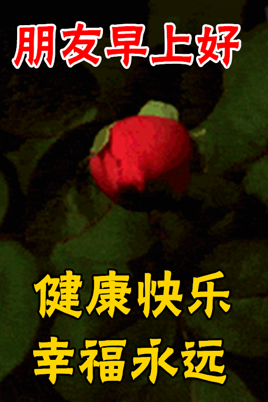 12月13日最漂亮早上好动态表情图片大全,早晨好动图美图大全