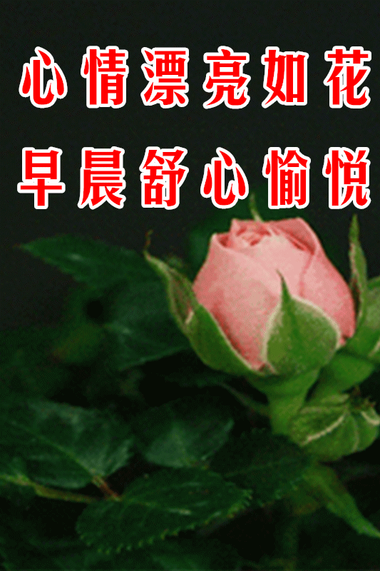 朋友,早安,记得常联系,因为我在牵挂你!