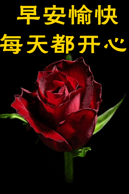 12月13日最漂亮早上好动态表情图片大全,早晨好动图美图大全