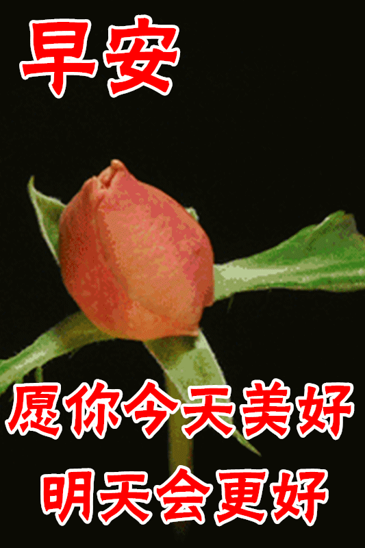 12月13日最漂亮早上好动态表情图片大全早晨好动图美图大全