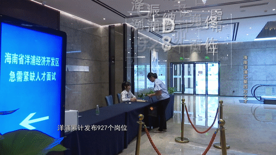 洋浦招聘_福利好,关于2017洋浦政府雇员招聘重要信息