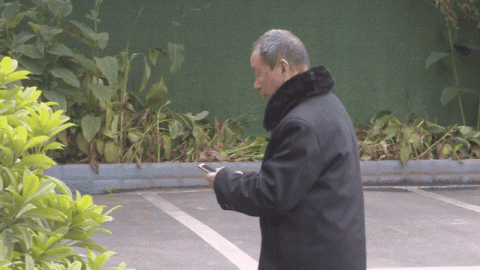 甘江人口_甘江镇湿地公园(2)
