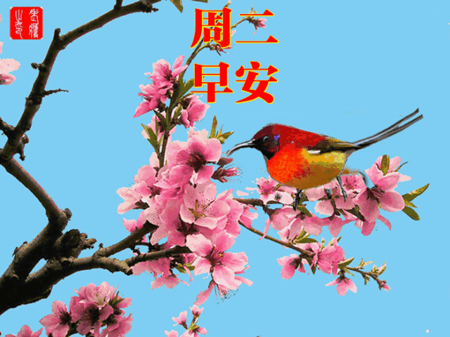 2022周二群发清晨早安问候语动态表情图片冬天漂亮早上好问候语祝福