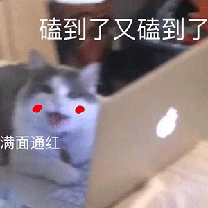 热门表情包大合集丨午夜心碎