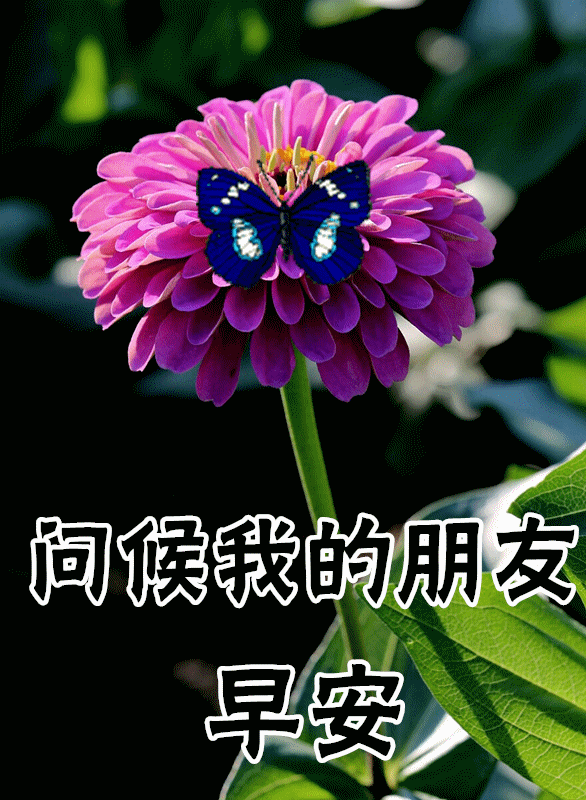 早上好,清晨送你一首歌,祝你开心,顺心,事事如意!