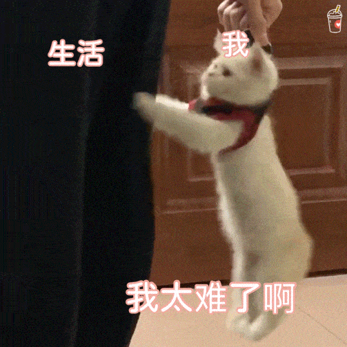 表情包生活好难我好烦破手机一天也不响一下