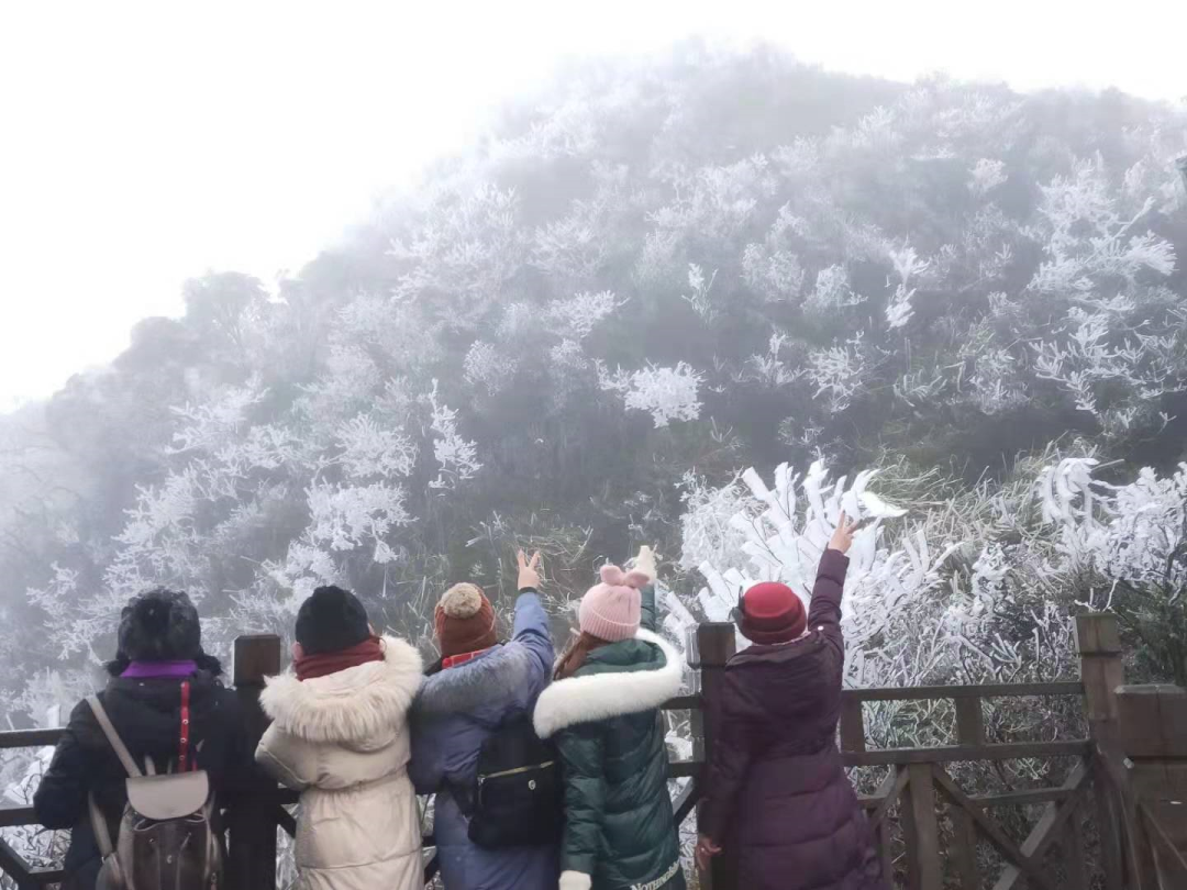 大明山,冰雪世界,冬游广西,南宁下雪了,旅游