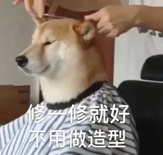 搞怪又沙雕的空间文案