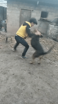 嗲嗲的老婆,调皮的娃娃,人生圆满了_腾讯新闻