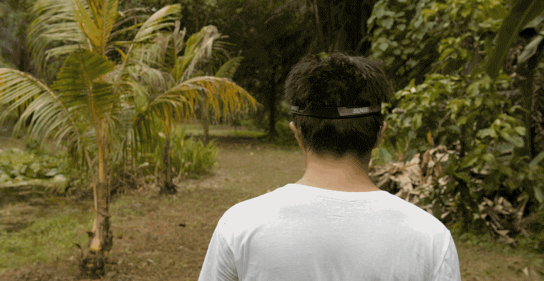 短片讲述了四百年前逃离地球的pdit-植被数据管理员(由艺术家林科