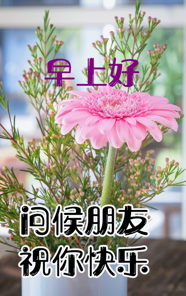 2月7日清晨早上好问候祝福动态表情图片 早安问候语及