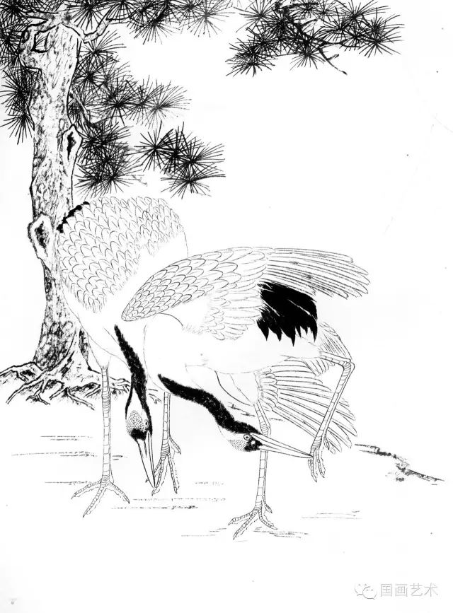 书画联盟丨工笔花鸟之-仙鹤画法