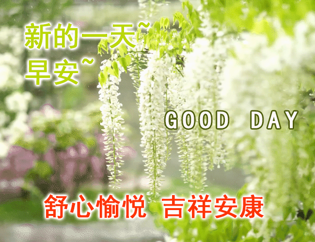 9张不用打字就可以聊天的早安图片 创意好看的冬日早上好问候祝福动画