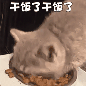 超火的干饭人表情包不为感情流泪只为干饭夜不能寐