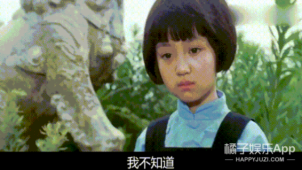 还记得《城南旧事》的英子吗?她48岁长这样