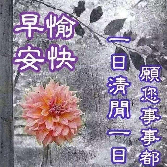 最暖心的早上好祝福语短句,早上漂亮的问候文字表情图片