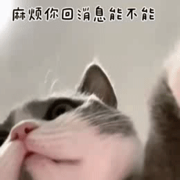 表情包麻烦你回消息能不能快一点